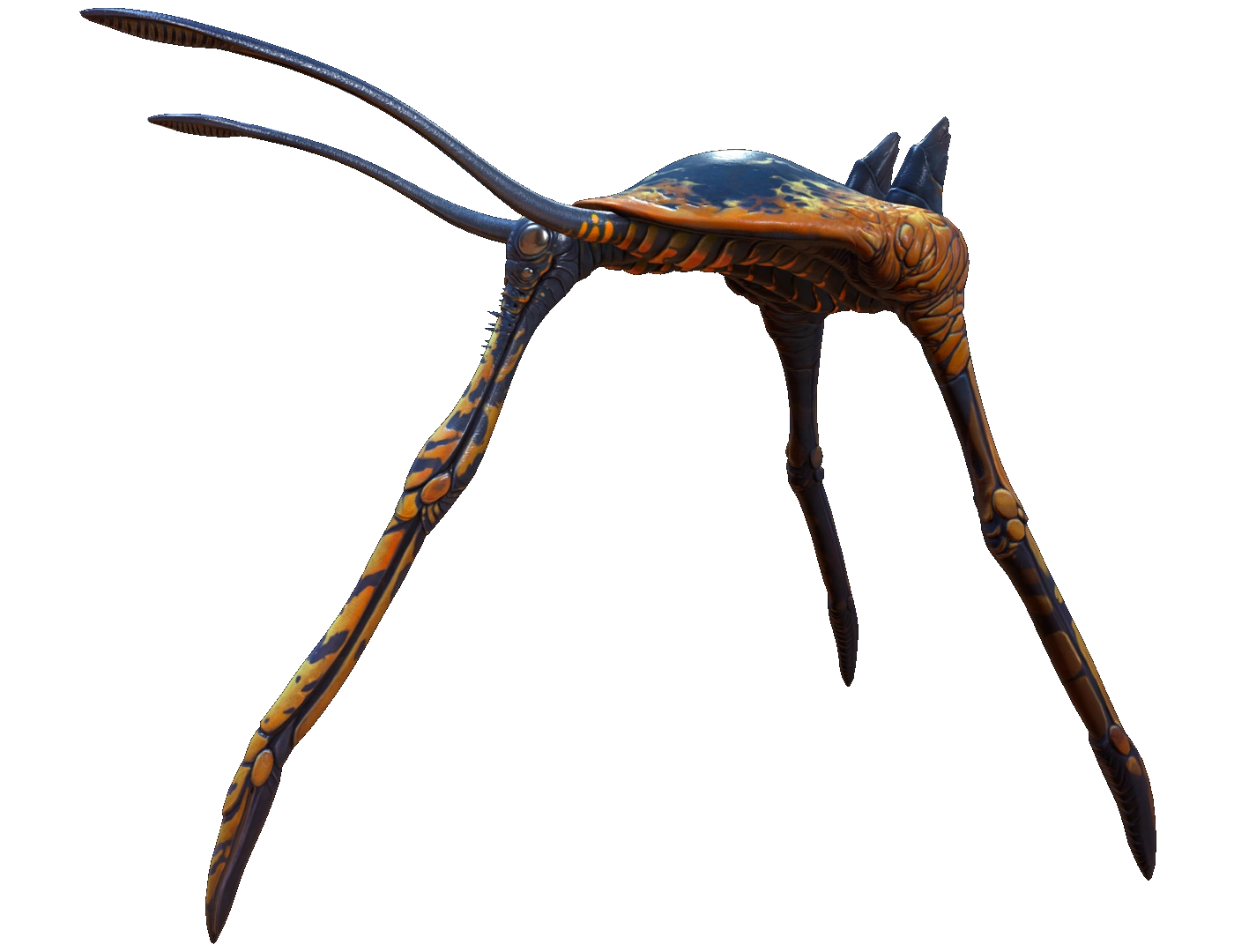 Sea Treader Leviathan