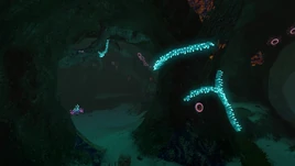 Mushroom Forest Caves