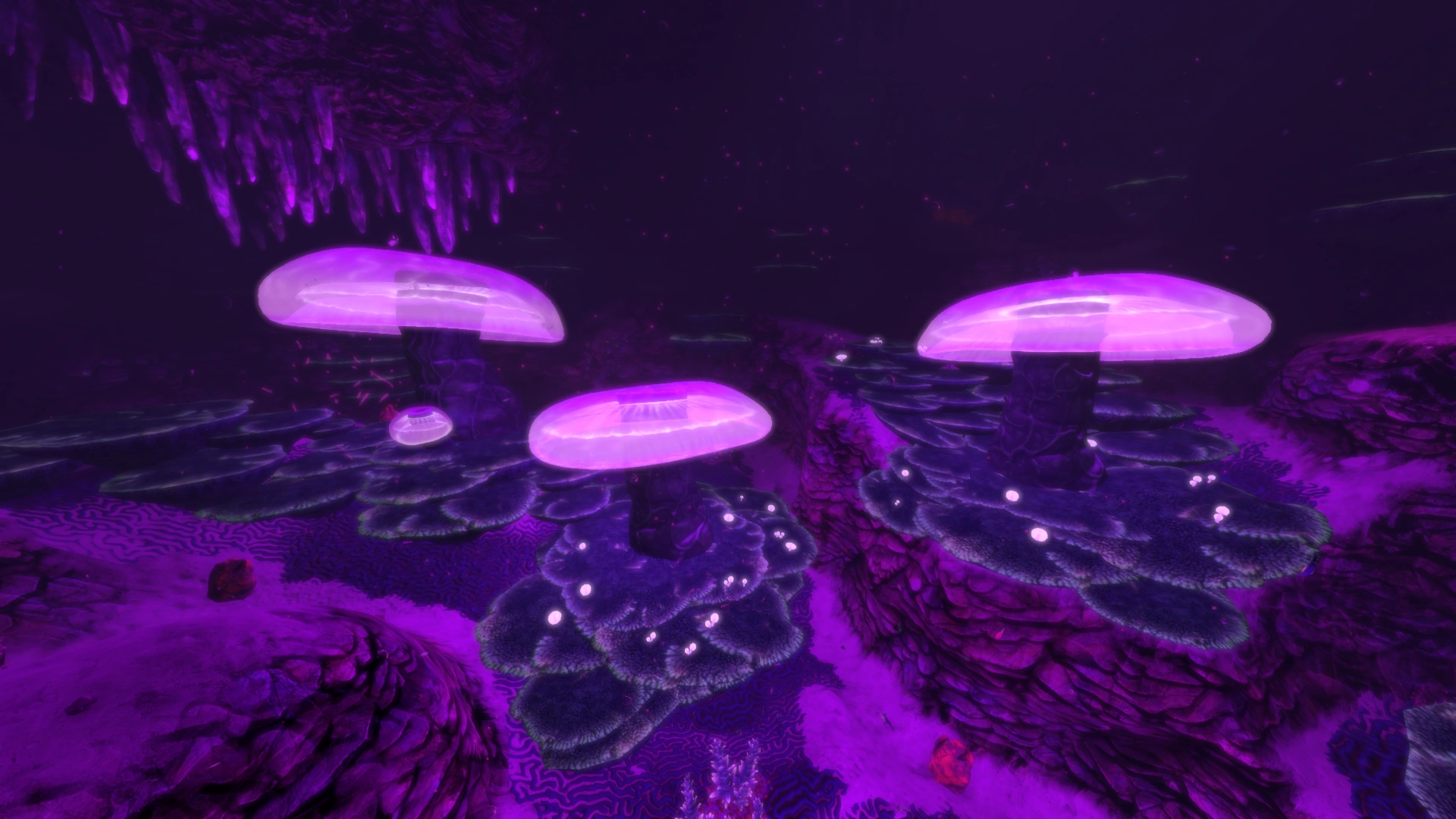 JellyShroom Caves