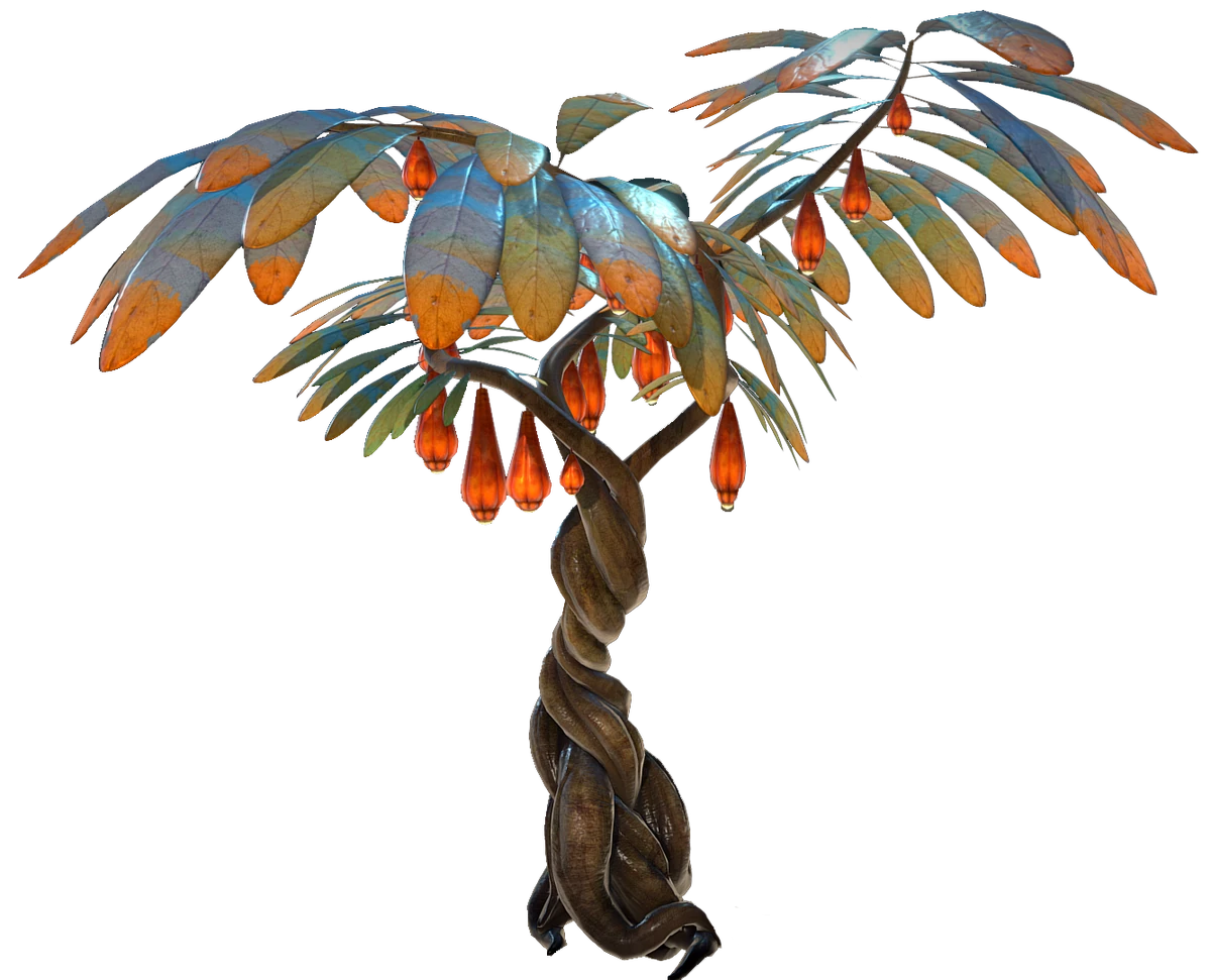 Fruit lanterne