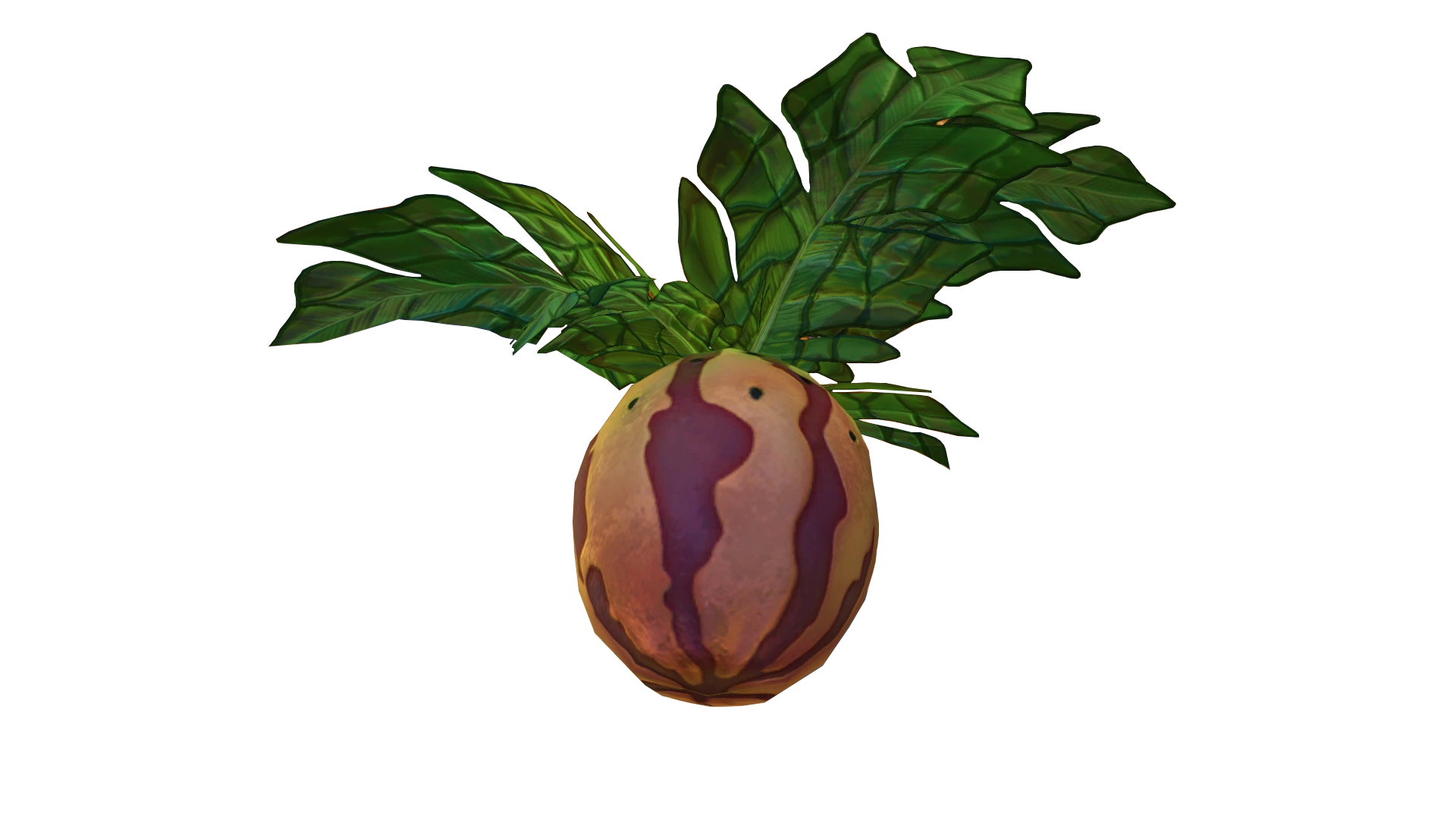 Melon marbré